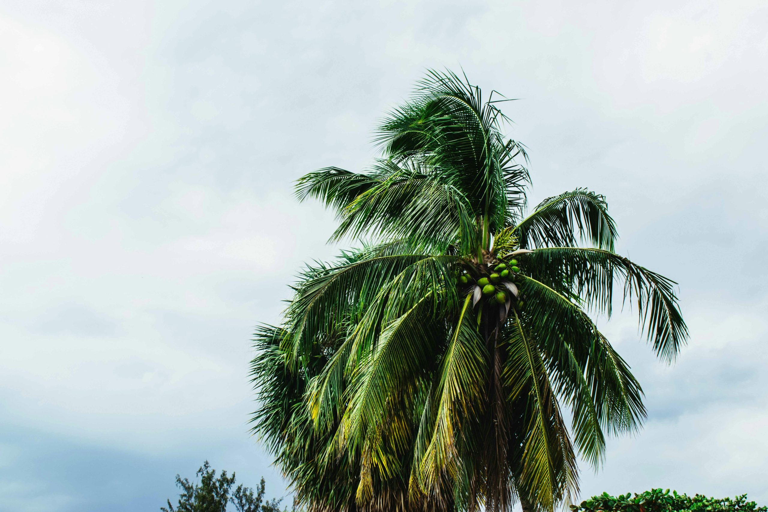 Climate Change Education: Preparing for Environmental Challenges