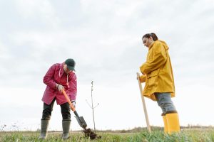 The Role of Community Land Trusts in Affordable Housing