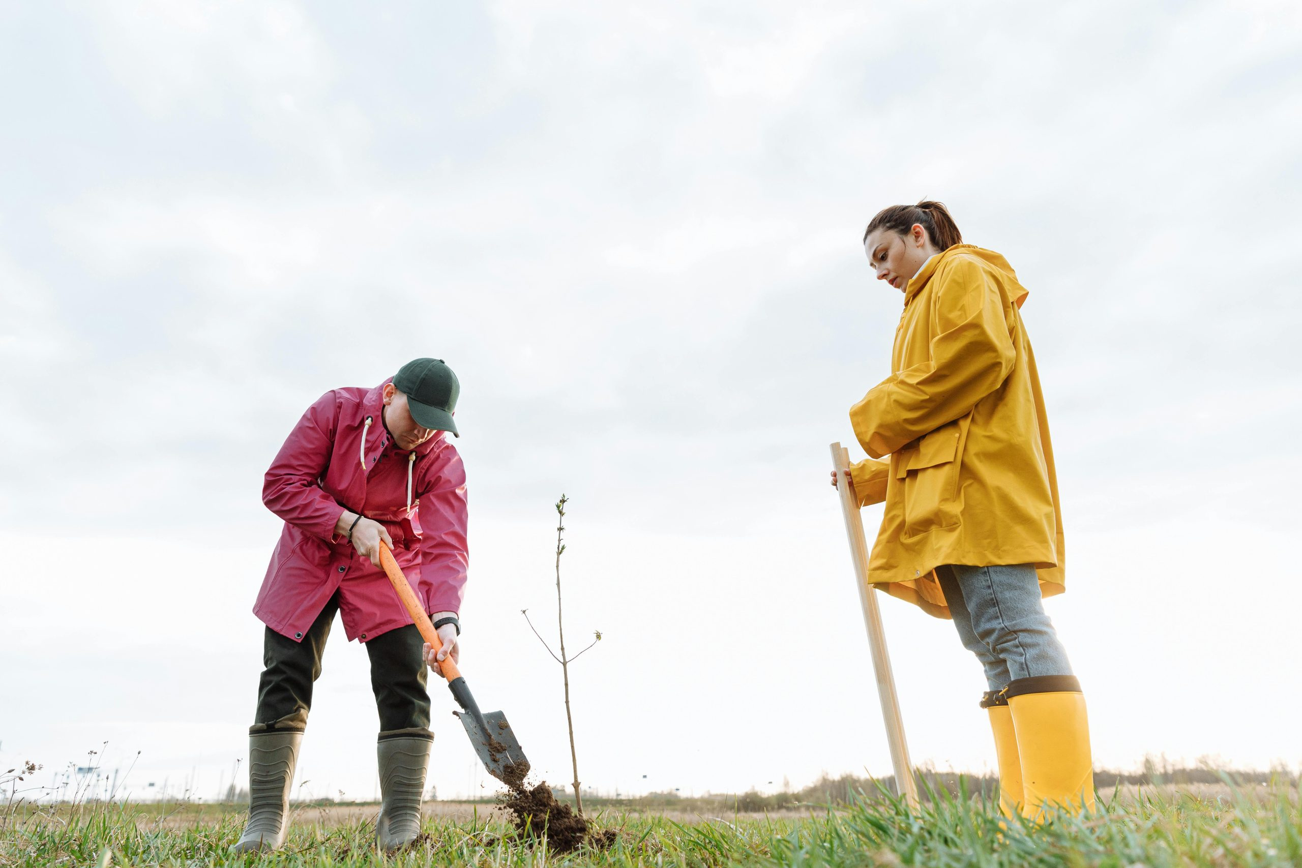 The Role of Community Land Trusts in Affordable Housing