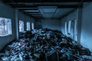 Eco-Ratings: Understanding the Environmental Impact of Your Purchase